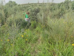 Flora del Cerro Masatrigo
